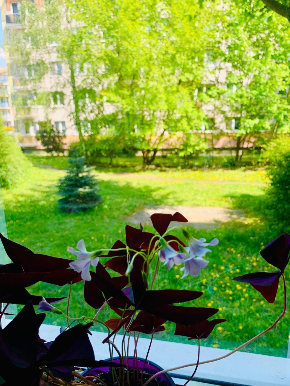 Apartament Margaret Stary Toruń